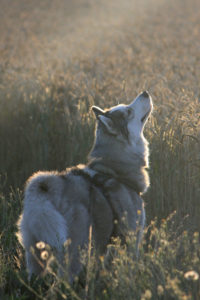 20130731_Margarita_22