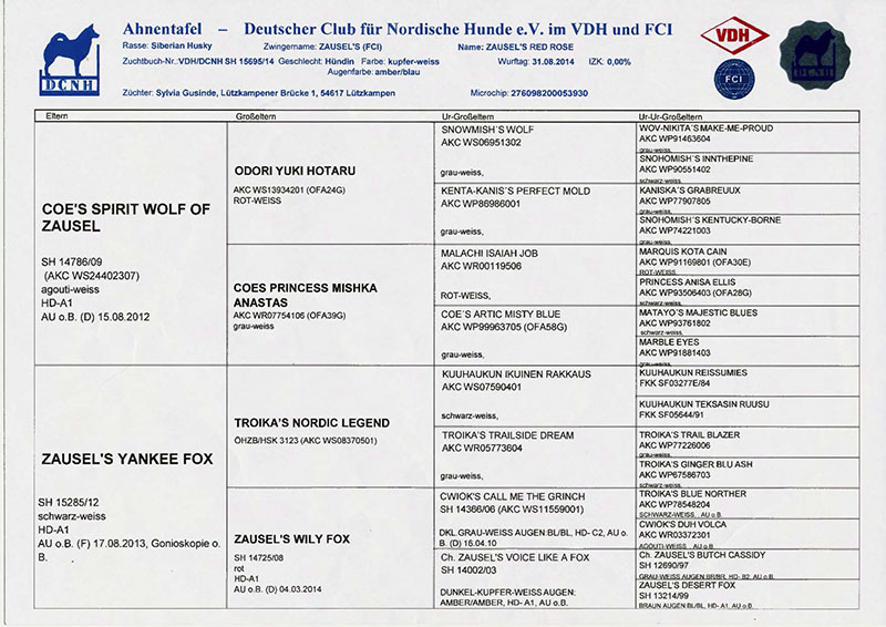 Kira's Pedigree
