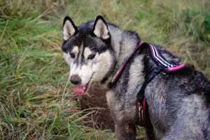 Ezri macht sich richtig dreckig.