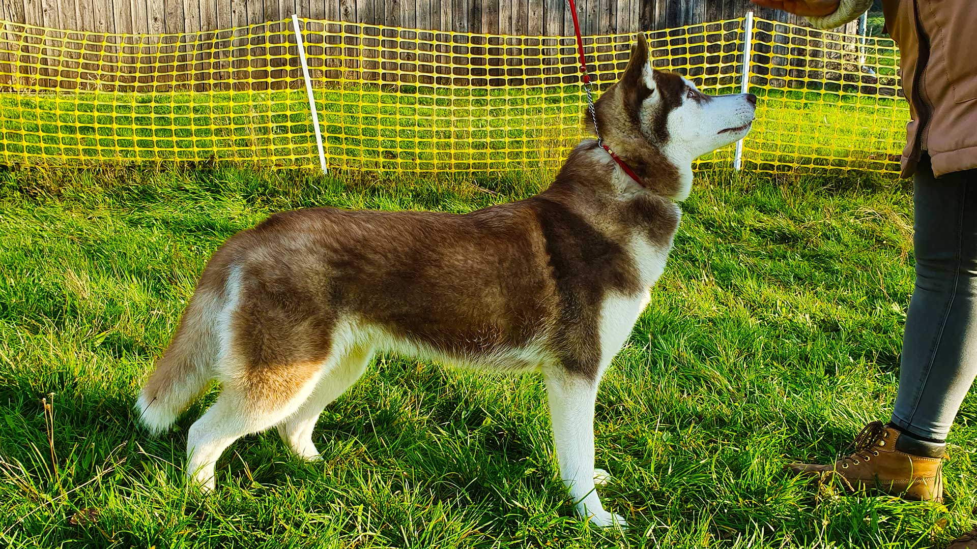 Casilda of Kahnawake aka Maya