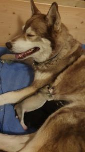 Die ersten D-chen sind da!