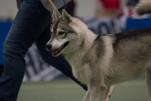 Bernie, 6 Monate alt