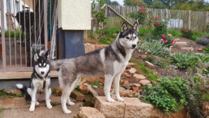 Ezri mit Tochter Lilou (Elisabeth of Kahnawake)