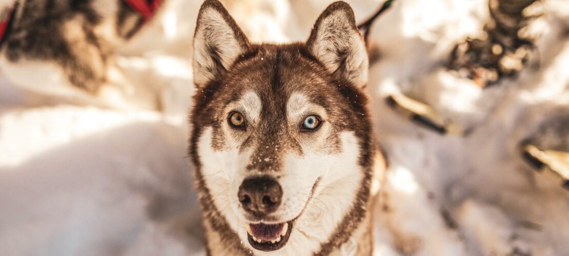 Happy birthday, Kira!