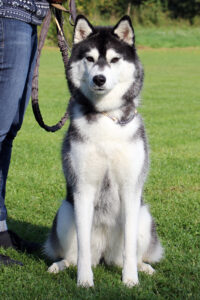 Emma Of Kahnawake - "Ronja"