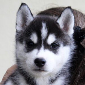 Gloria Of Kahnawake aka Skadi