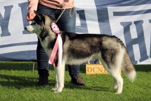 Emma Of Kahnawake "Ronja" ©C. Jurgutat