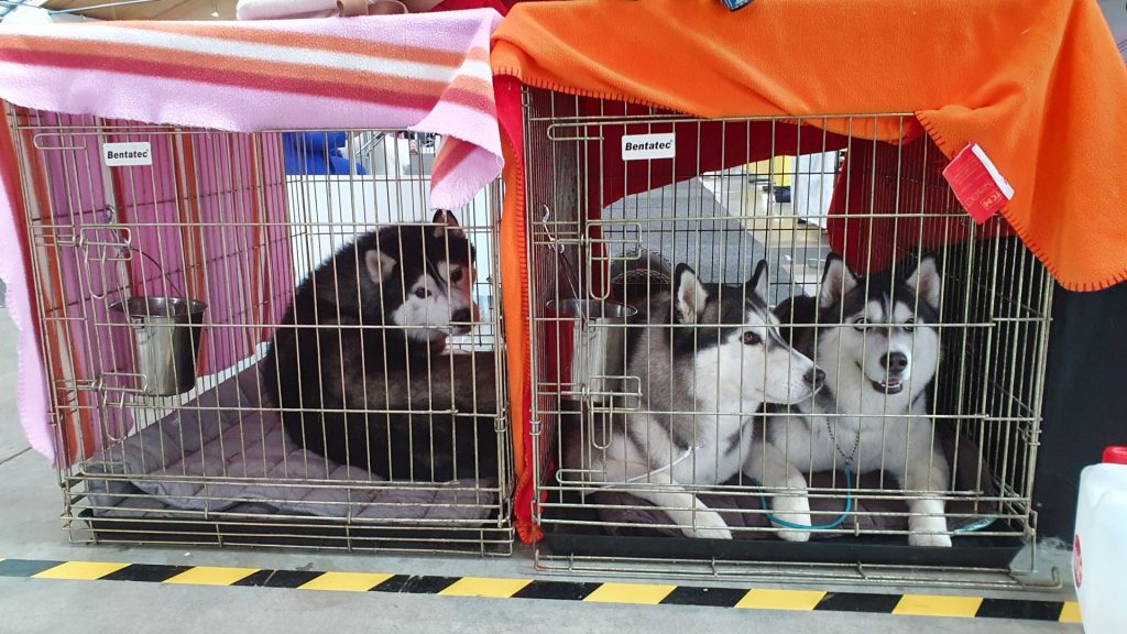 Shakaar, Ezri und Feli