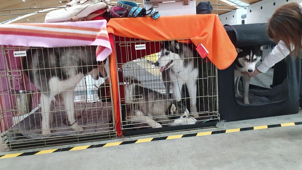 Shakaar, Ezri, Feli und Snow