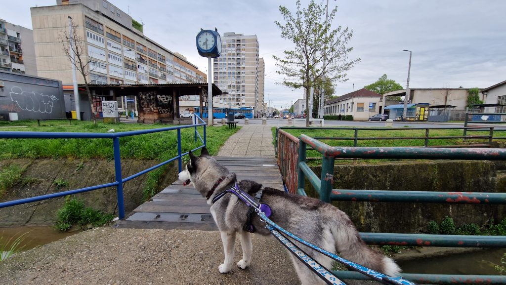 Walkies in Zagreb, Ljubljanica