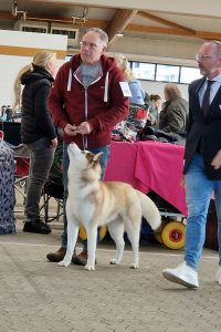 Sven und Floki (Harold Bluetooth Of Kahnawake)