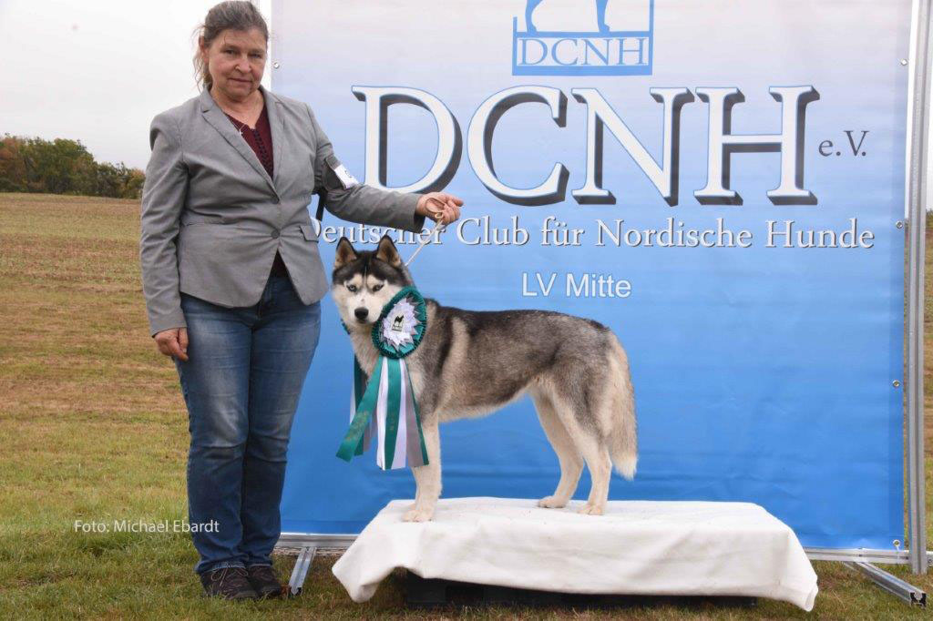 Opra Best In Show und VDH Hessensieger (Lahn-Dill-Schau September 2020)