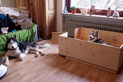 Wurfzimmer / Whelping Room