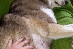 In den Wehen / In Labour