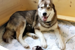 Glückliche Mama / Happy Mommie