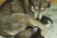 Fürsorge / Taking Care