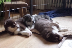 Und jetzt? / And now?