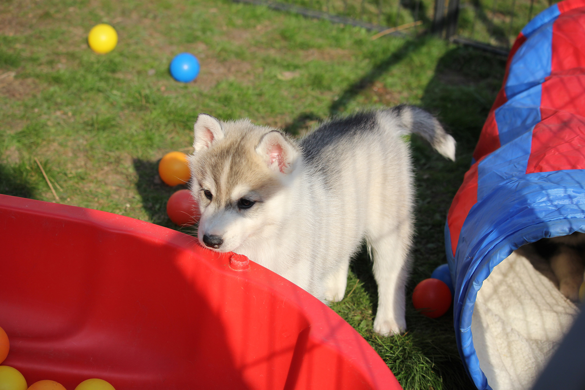 19.03.2020 19.03.2020