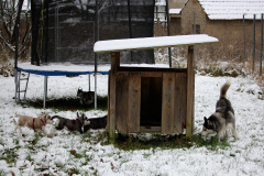 Die H-chen im Schnee