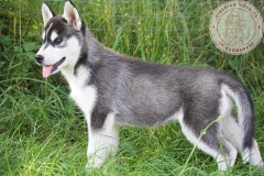 Letzter Tag im Auslauf