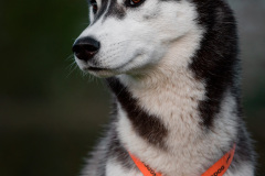 Gloria Of Kahnawake "Skadi"
