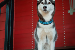 Gloria Of Kahnawake "Skadi"