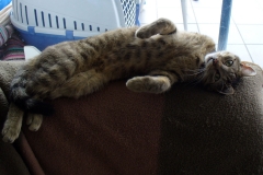20140625_Jakob_02