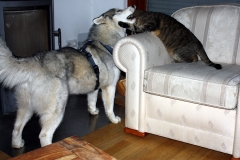20140625_Jakob_02