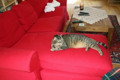 20140625_Jakob_02