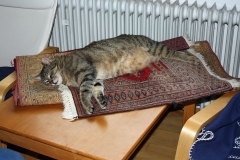 20140625_Jakob_02