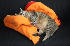 20140625_Jakob_02