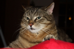20140625_Jakob_02