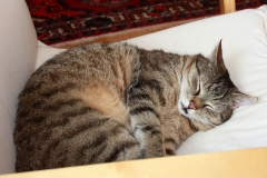 20140625_Jakob_02