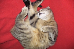 20140625_Jakob_02
