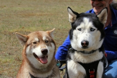 Zausel\'s Red Rose aka Kira