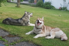 Kira & Nukka