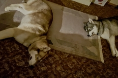 Kira & Nukka