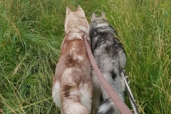 Kira & Nukka