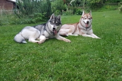 Kira & Nukka