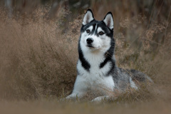 Gloria Of Kahnawake "Skadi"