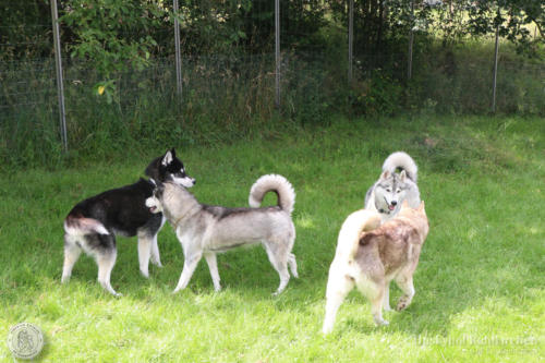 Yuko, Ezri, Conan und Kira