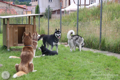 Bunte Runde