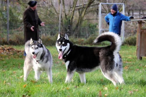 Ezri und Koda